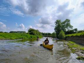 IMG_20240520_105300346_AE -  - Kano