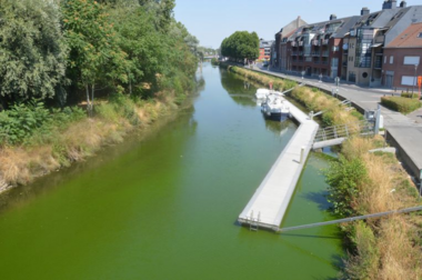 Peddelsport Vlaanderen - Blauwalgen rivier -  - Samen waken over ons waterpeil en de belangen voor peddelsport