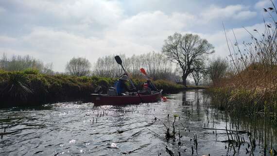 Mechelen2 -  - Paddle Cleanup